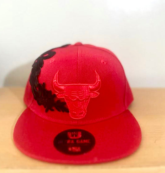 Bulls Hat